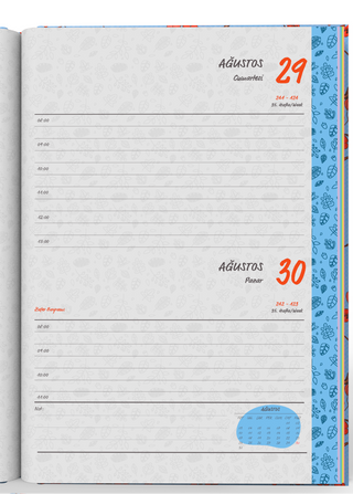 Denden 2026 Ajanda Kiraz Çiçeği